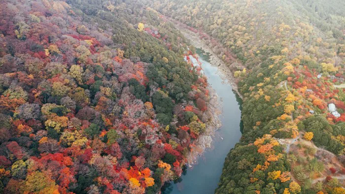 Chiêm ngưỡng mùa thu tuyệt đẹp ở Arashiyama qua ống kính của chàng trai Việt