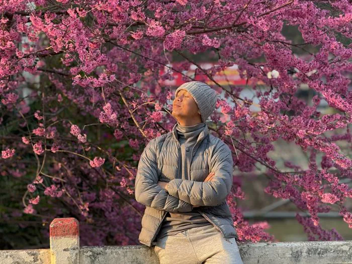 Du khách trầm trồ ngắm hoa tớ dày Mù Cang Chải: 'Mùa xuân ở khắp nơi'