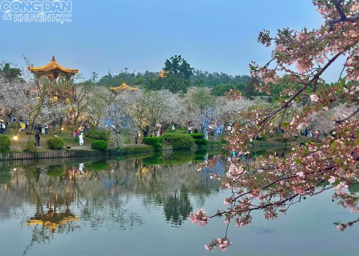Du lịch Trung Quốc: Bất ngờ với vẻ đẹp khúc giao mùa