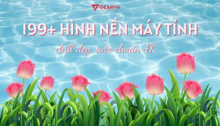 Hình nền | GEARVN